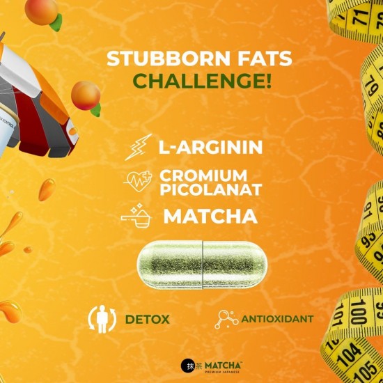 Matcha Premium Voedingssupplement met L-Carnitine